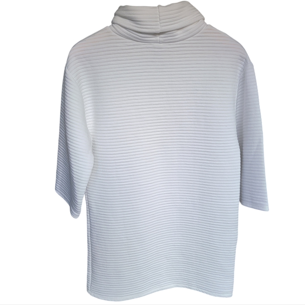 Zara White Ottoman Ribbed Sweater Dress Roll Neck Minimalist Women’s Sma… - Picture 4 of 16
